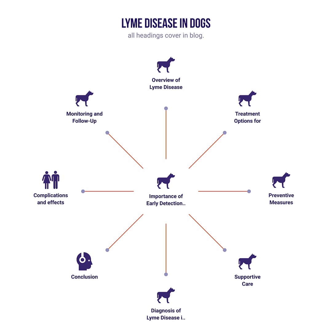 lyme-disease-in-dogs