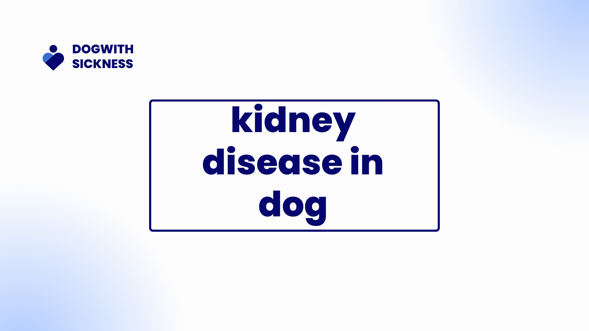 kidney disease in dog
