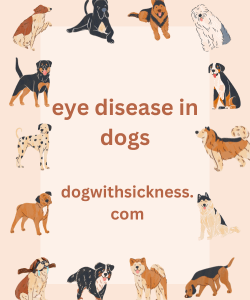eye disease in dogs